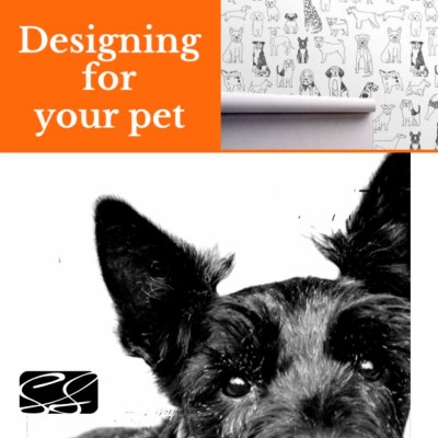 Interior Design for Your Pet